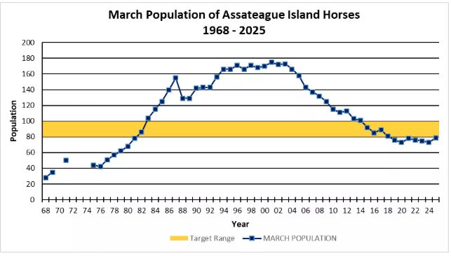 march horses.png